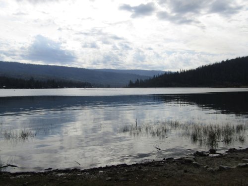 Tuolome Meadow 